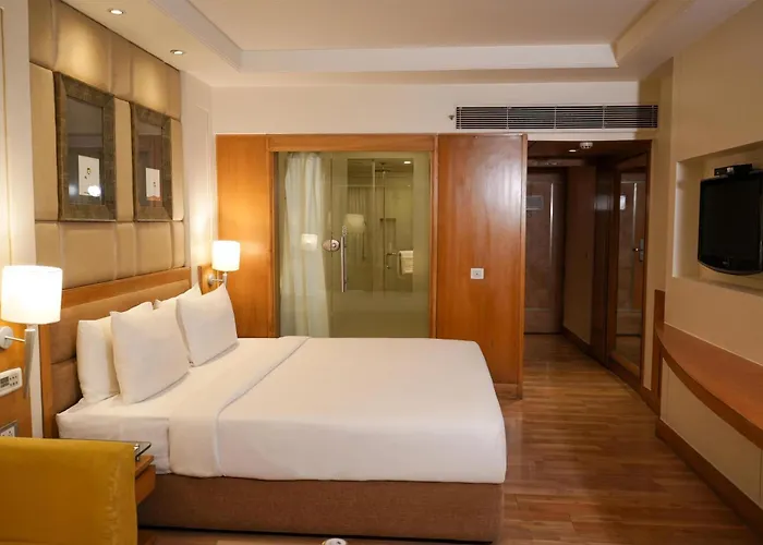 Park Plaza, Ludhiana